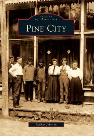 Book Pine City Nathan Johnson