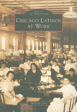 Carte Chicago Latinos at Work Wilfredo Cruz