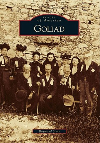 Libro Goliad Raymond Starr