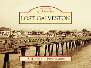 Buch Lost Galveston Brian M. Davis