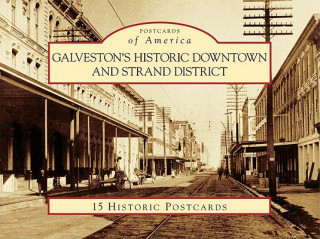 Книга Galveston's Historic Downtown and Strand District Denise Alexander