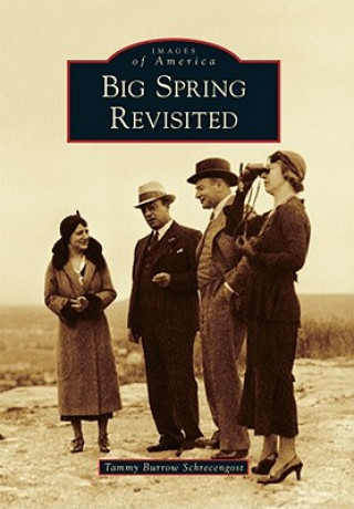 Kniha Big Spring Revisited Tammy Burrow Schrecengost