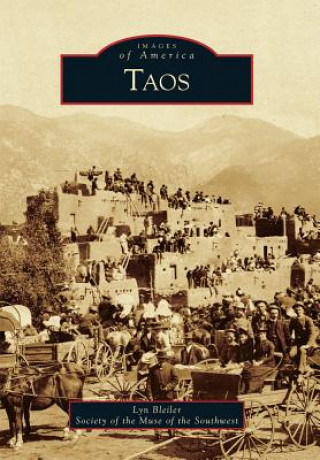 Книга Taos Lyn Bleiler