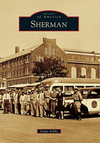Könyv Sherman Linda Ashby