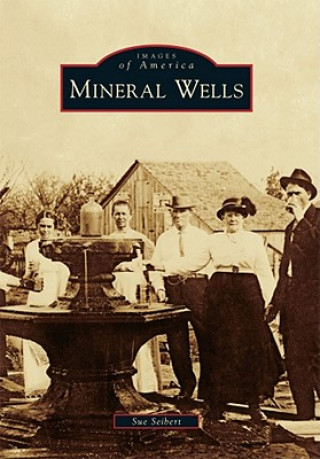 Książka Mineral Wells Sue Seibert