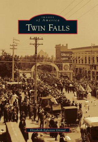 Knjiga Twin Falls Elizabeth Egleston Giraud