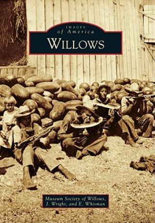 Knjiga Willows Museum Society of Willows