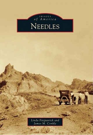 Buch Needles Linda Fitzpatrick