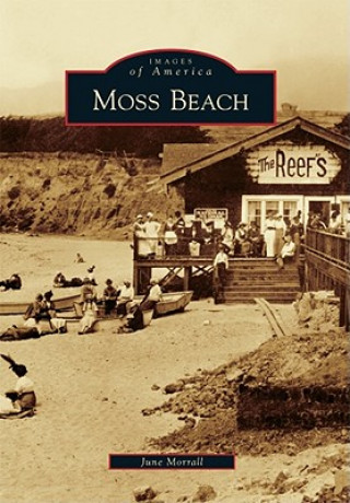 Knjiga Moss Beach June Morrall