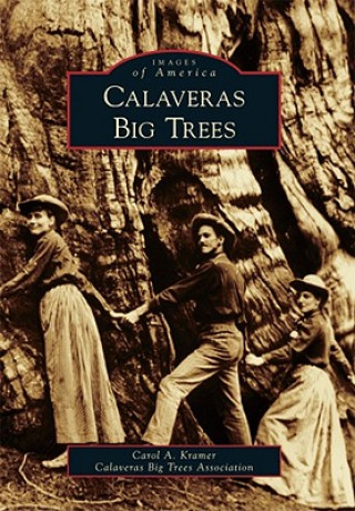 Knjiga Calaveras Big Trees Carol A. Kramer