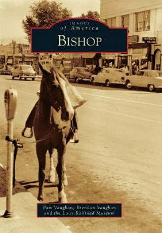 Könyv Bishop Pam Vaughan