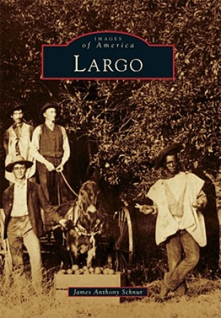 Buch Largo James Anthony Schnur