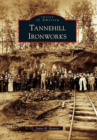 Knjiga Tannehill Ironworks James R. Bennett