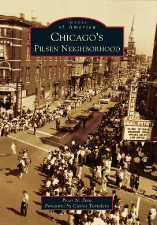 Carte Chicago's Pilsen Neighborhood Peter N. Pero