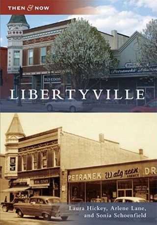 Книга Libertyville Laura Hickey