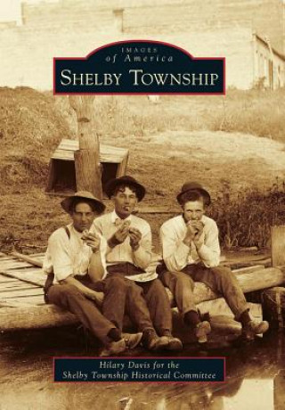 Kniha Shelby Township Hilary Davis