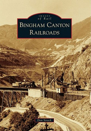 Kniha Bingham Canyon Railroads Don Strack