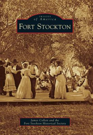 Knjiga Fort Stockton James Collett