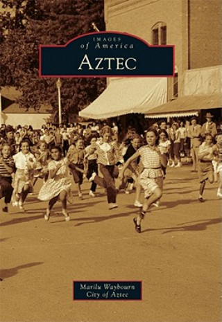 Book Aztec Marilu Waybourn