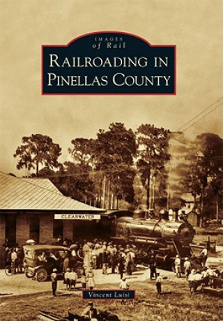 Carte Railroading in Pinellas County Vincent Luisi