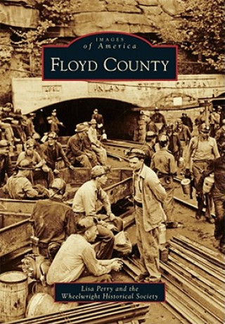 Knjiga Floyd County Lisa Perry