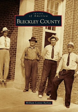 Książka Bleckley County William Lonnie Barlow