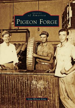 Könyv Pigeon Forge Veta Wilson King