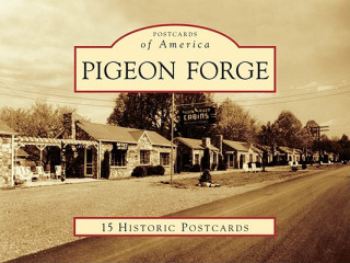 Libro Pigeon Forge Veta Wilson King