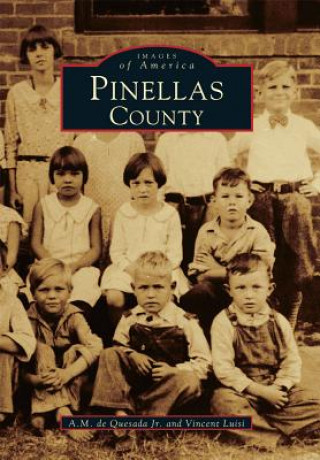 Boek Pinellas County A. M. de Quesada