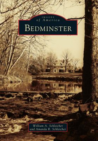 Kniha Bedminster William A. Schleicher