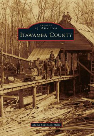 Libro Itawamba County Mona Robinson Mills