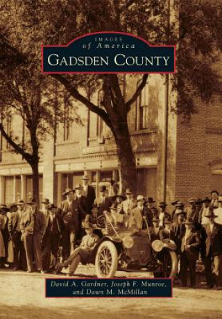 Könyv Gadsden County David A. Gardner