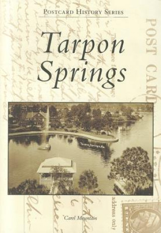 Könyv Tarpon Springs Carol Mountain