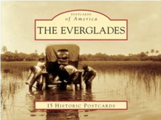 Kniha The Everglades Robert S. Carr
