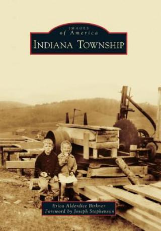 Kniha Indiana Township Erica Alderdice Birkner