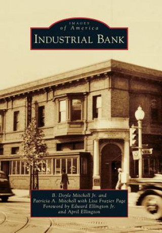 Kniha Industrial Bank B. Doyle Mitchell