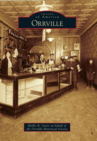 Kniha Orrville Mollie B. Curie