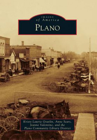 Libro Plano Kristy Lawrie Gravlin