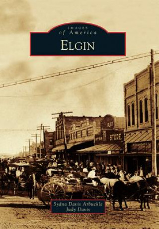 Book Elgin Sydna Davis Arbuckle