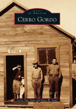 Kniha Cerro Gordo Cecile Page Vargo