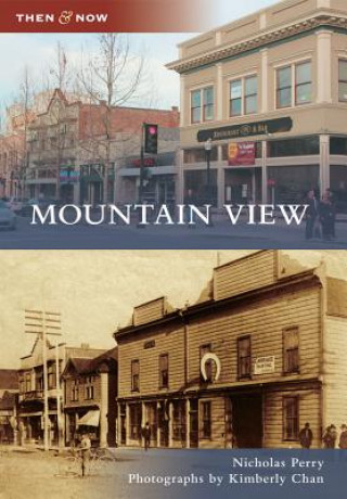 Buch Mountain View Nicholas Perry