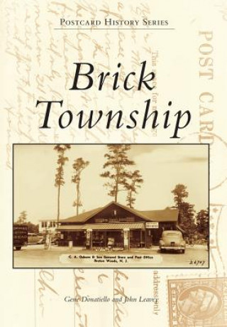 Knjiga Brick Township Gene Donatiello