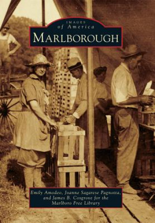 Könyv Marlborough Emily Amodeo