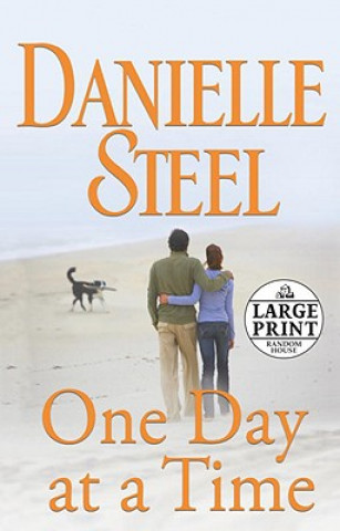 Kniha One Day at a Time Danielle Steel