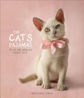 Carte The Cat's Pajamas: 101 of the World's Cutest Cats Rachael Hale