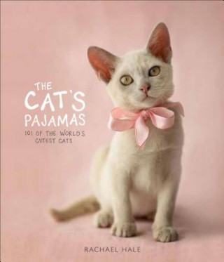 Knjiga The Cat's Pajamas: 101 of the World's Cutest Cats Rachael Hale