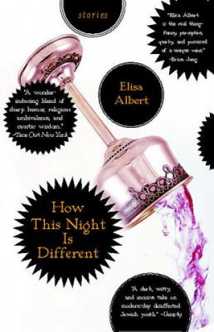 Book How This Night Is Different: Stories Elisa Albert