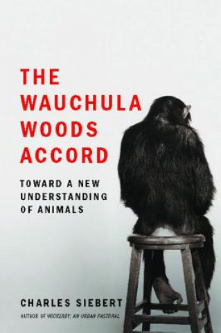 Książka The Wauchula Woods Accord: Toward a New Understanding of Animals Charles Siebert