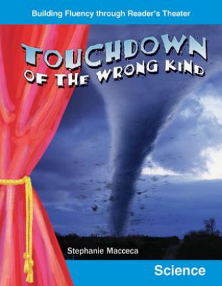 Kniha Touchdown of the Wrong Kind Stephanie Macceca