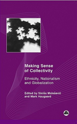 Könyv Making Sense of Collectivity: Ethnicity, Nationalism and Globalisation Sinisa Malesevic